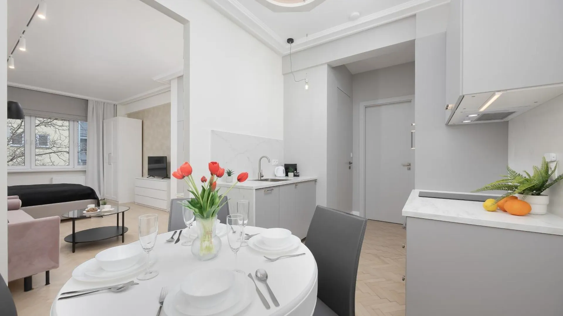 Modern Apartments With Air Conditioning In Warsaw Close To Three Parks By Renters Prestige
